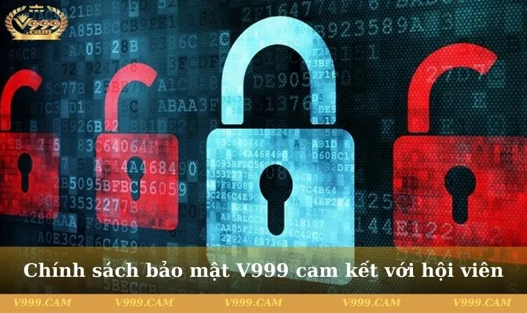 Chính sách bảo mật V999 cam kết với hội viên