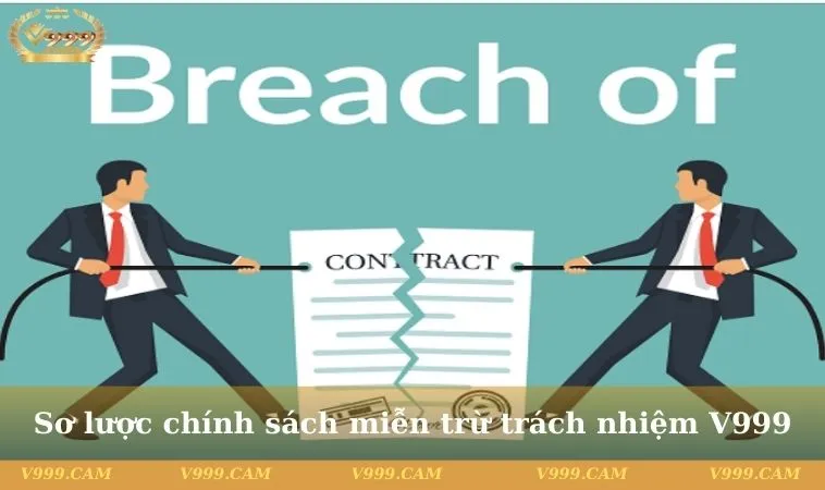 Sơ lược chính sách miễn trừ trách nhiệm V999