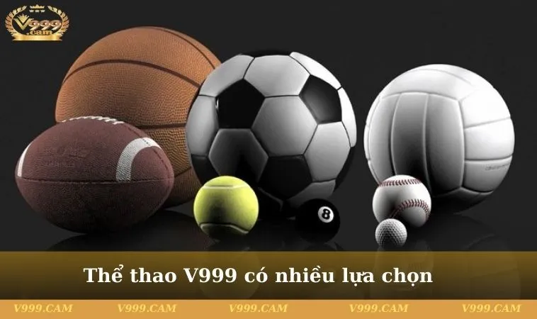 Thể thao V999 có nhiều sự lựa chọn